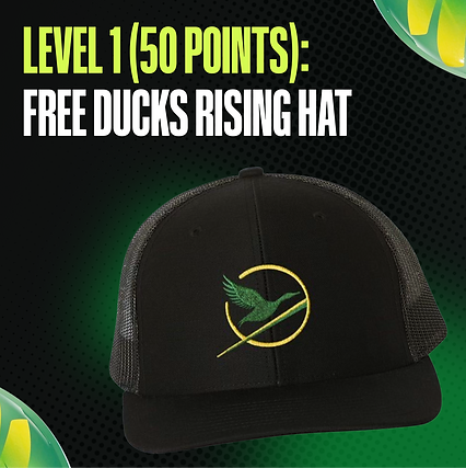 Level 1, 50 points: free Ducks Rising hat.