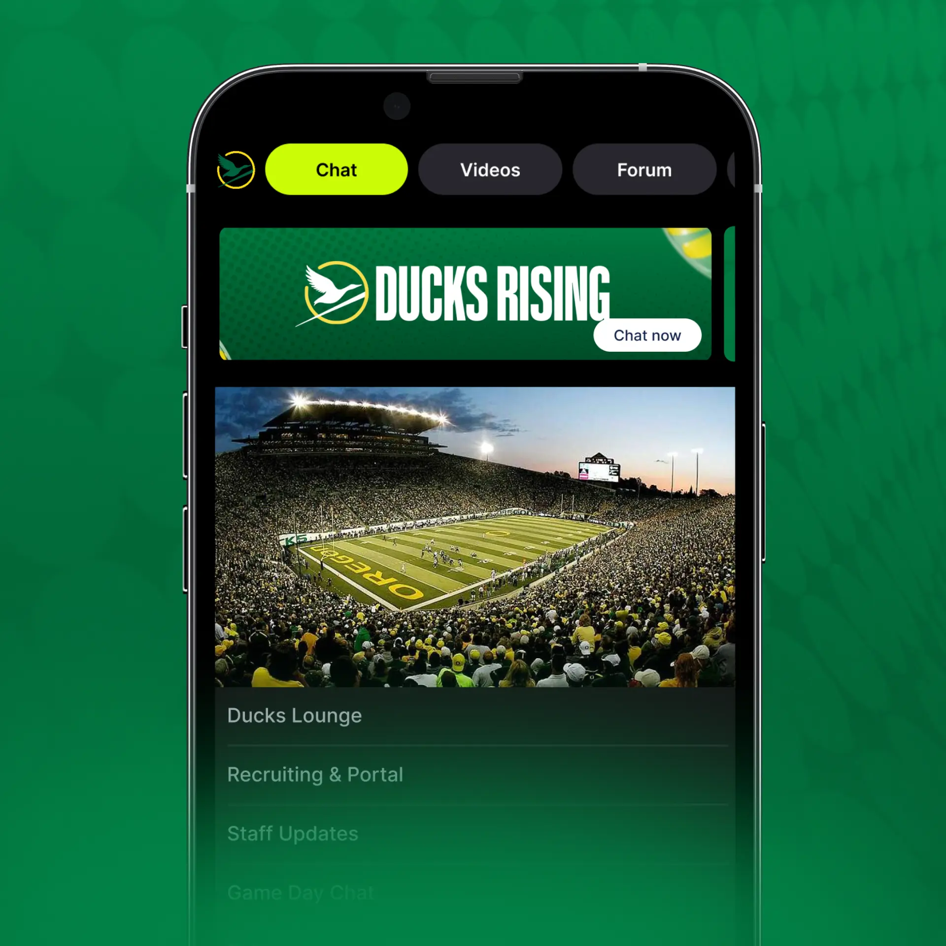 Ducks Rising app — Ducks family